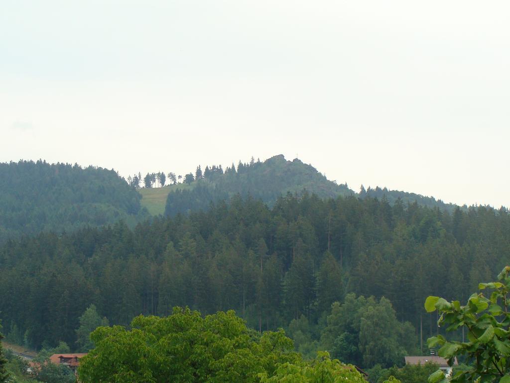 Drei Tannen Hotel โบเดนไมส์ ภายนอก รูปภาพ