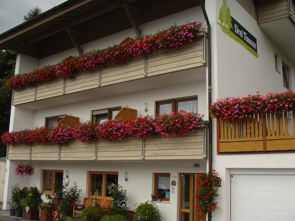 Drei Tannen Hotel โบเดนไมส์ ภายนอก รูปภาพ