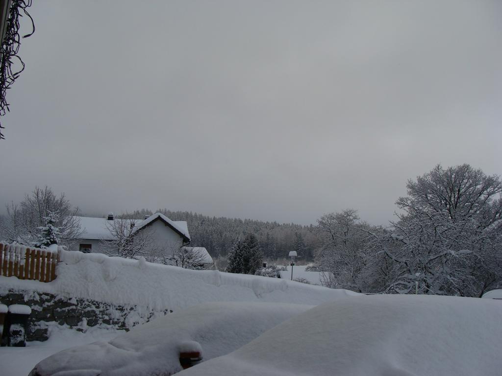 Drei Tannen Hotel โบเดนไมส์ ภายนอก รูปภาพ